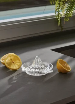 Spremiagrumi da cucina