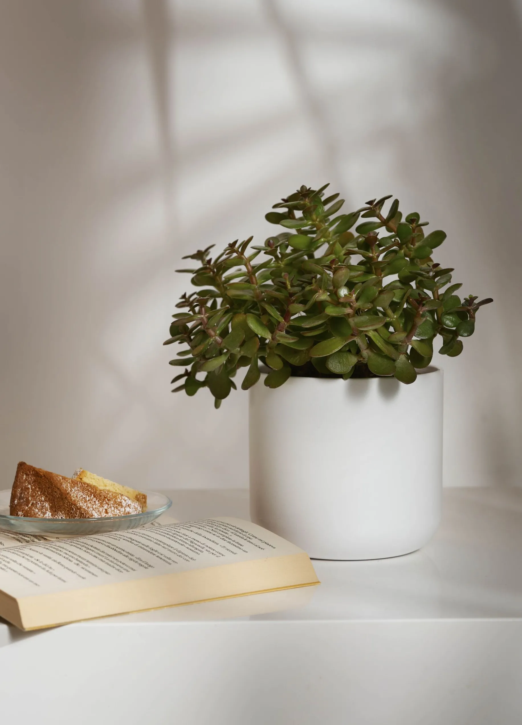 Vaso in ceramica